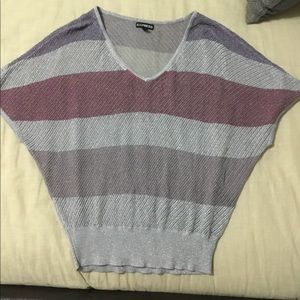 Express Sparkly Top